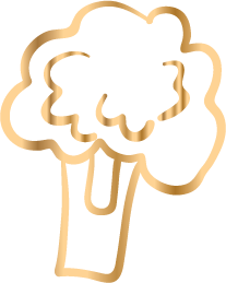 Asset 62Logo300R